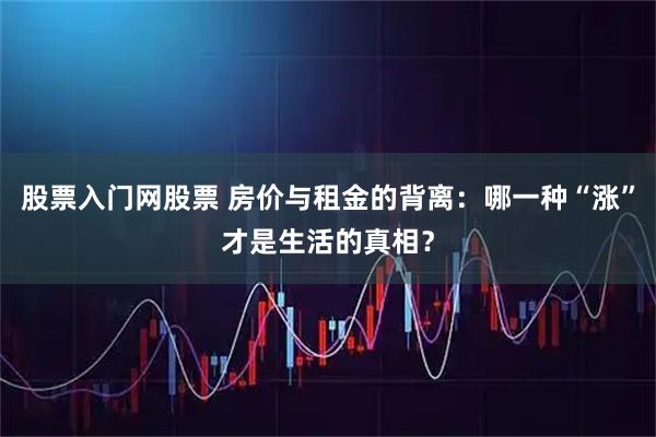 股票入门网股票 房价与租金的背离：哪一种“涨”才是生活的真相？